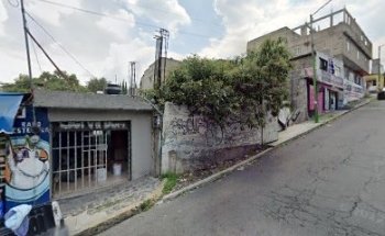 Medicina y Salud Animal