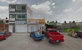 Veterinaria Pets Love