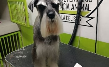 Frequency Animal Veterinary Hospital