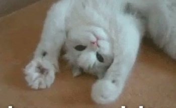 Farmacia Veterinaria Garra & Pata