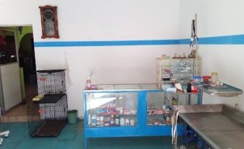 Consultorio Veterinario Kokom