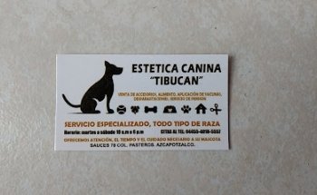 Estética Canina Tibucan