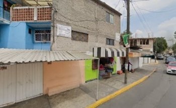 Maya Pet (estética canina, servicios veterinarios)