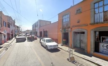 Veterinaria Celta Matriz