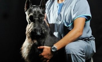 Clínica Veterinaria Lefranc