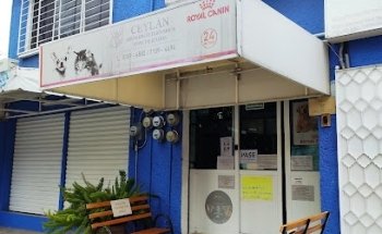 Hospital Veterinario de Especialidades Ceylán