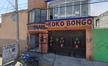 Koko Bongo