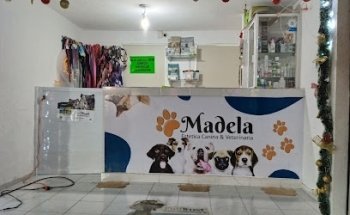 MADELA VETERINARIA Y ESTÉTICA CANINA