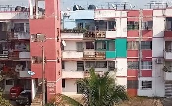 Servicios Veterinarios 