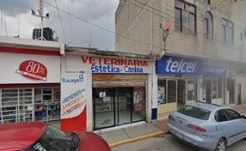 Veterinaria Reforma
