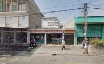 CONSULTORIO VETERINARIO