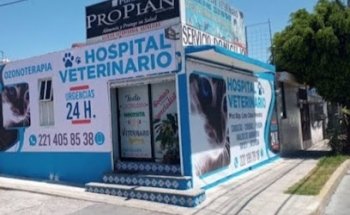 Urgencias Veterinarias 24 Horas