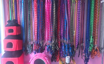 Estética Canina Scooby Doo