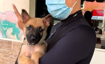 Veterinaria Canina ICNIU