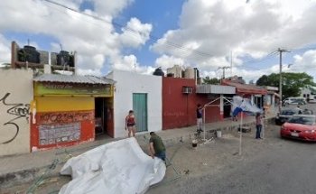 Medical Pet. Veterinaria y estética canina