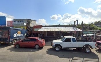 Veterinaria Animal Vet