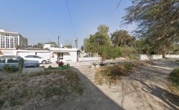 Estetica Canina Zoo-Mundo