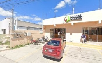 Clinical Veterinaria