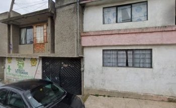 Medico Veterinario Zootecnista Miguel Angel Mendoza Monterrubio