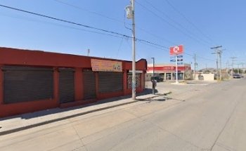 Veterinaria y Estética Canina Cat Dog