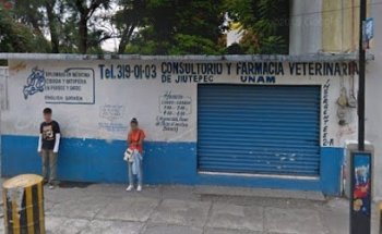 Consultorio y Farmacia Veterinaria de Jiutepec
