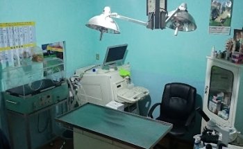 HOSPITAL VETERINARIO APETATITLÁN
