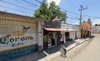 Veterinaria mundo animal