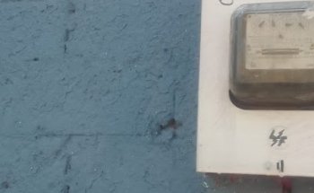 forrajera muñiz (veterinaria jungapeo)