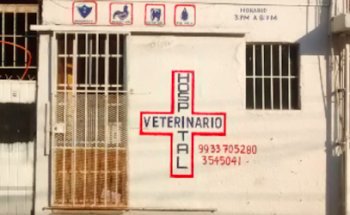 UNIDAD MEDICA VETERINARIA