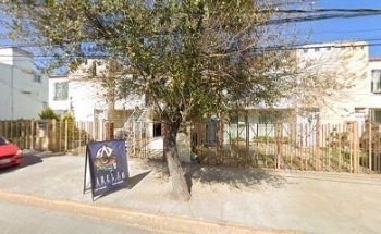 Estetica Canina Toby