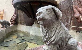 Hospital Veterinario Kiin