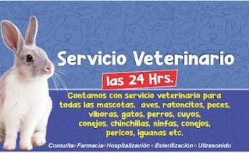 Mascotas y Veterinaria Murillo