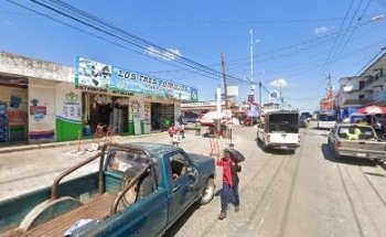 Agropecuaria Los Tres Potrillos