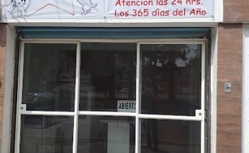 CENTRO MÉDICO VETERINARIO