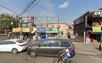 Servicio Médico Veterinario