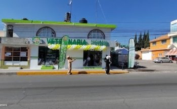 CLINICA VETERINARIA MONROY SUCURSAL PLUTARCO