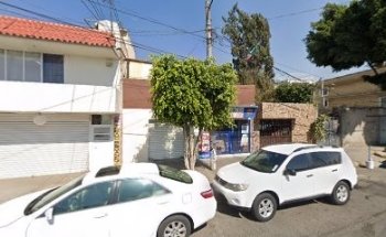 Estética Canina Karvid