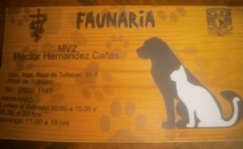 MVZ Hector Hernandez Cañas