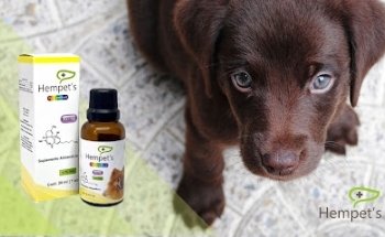 Hempets - CBD para Mascotas