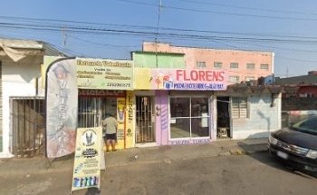 Veterinaria Dog Puppy Rio Medio