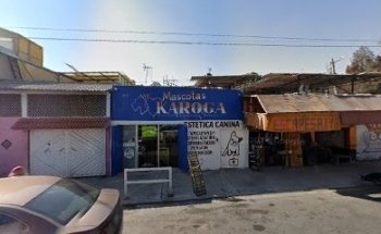 Estetica Canina Acuario