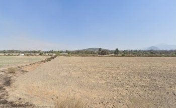 Veterinaria Kennel Club