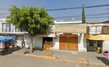 Estética Canina Carey