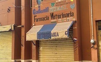 Veterinaria Guillemin