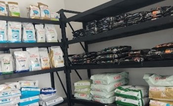 Animal Care Hospital Veterinario