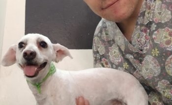 Clínica Veterinaria Dr. Kalb