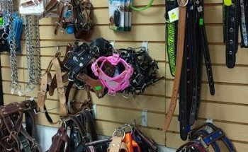 Hospital Veterinario Casa de Henry