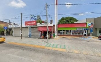 Veterinary Animal Life