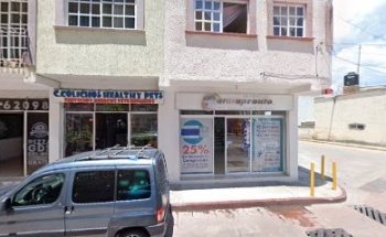 Colichos Hp(Servicios médicos veterinarios)