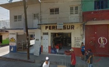 veterinaria reino animal